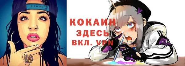 шишки Краснослободск