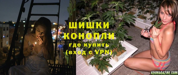 шишки Краснослободск