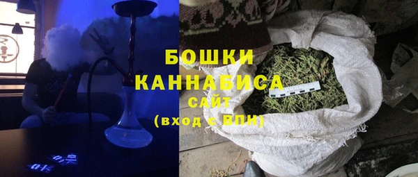 шишки Краснослободск