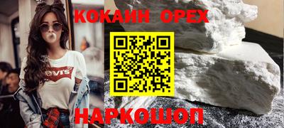 сатива Кингисепп