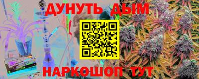 сатива Кингисепп
