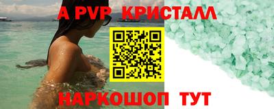 сатива Кингисепп