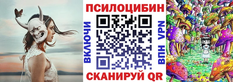 Галлюциногенные грибы Cubensis  сколько стоит  Хасавюрт 