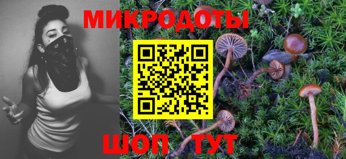 Хасавюрт  где продают наркотики  Галлюциногенные грибы MAGIC MUSHROOMS  Вход с VPN  Псилоцибиновые грибы мицелий 